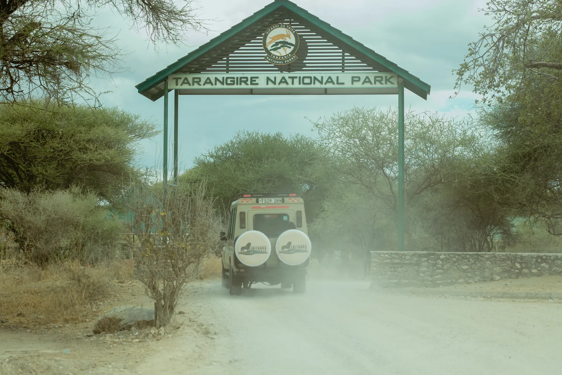 Wildlife in an East African safari landscape